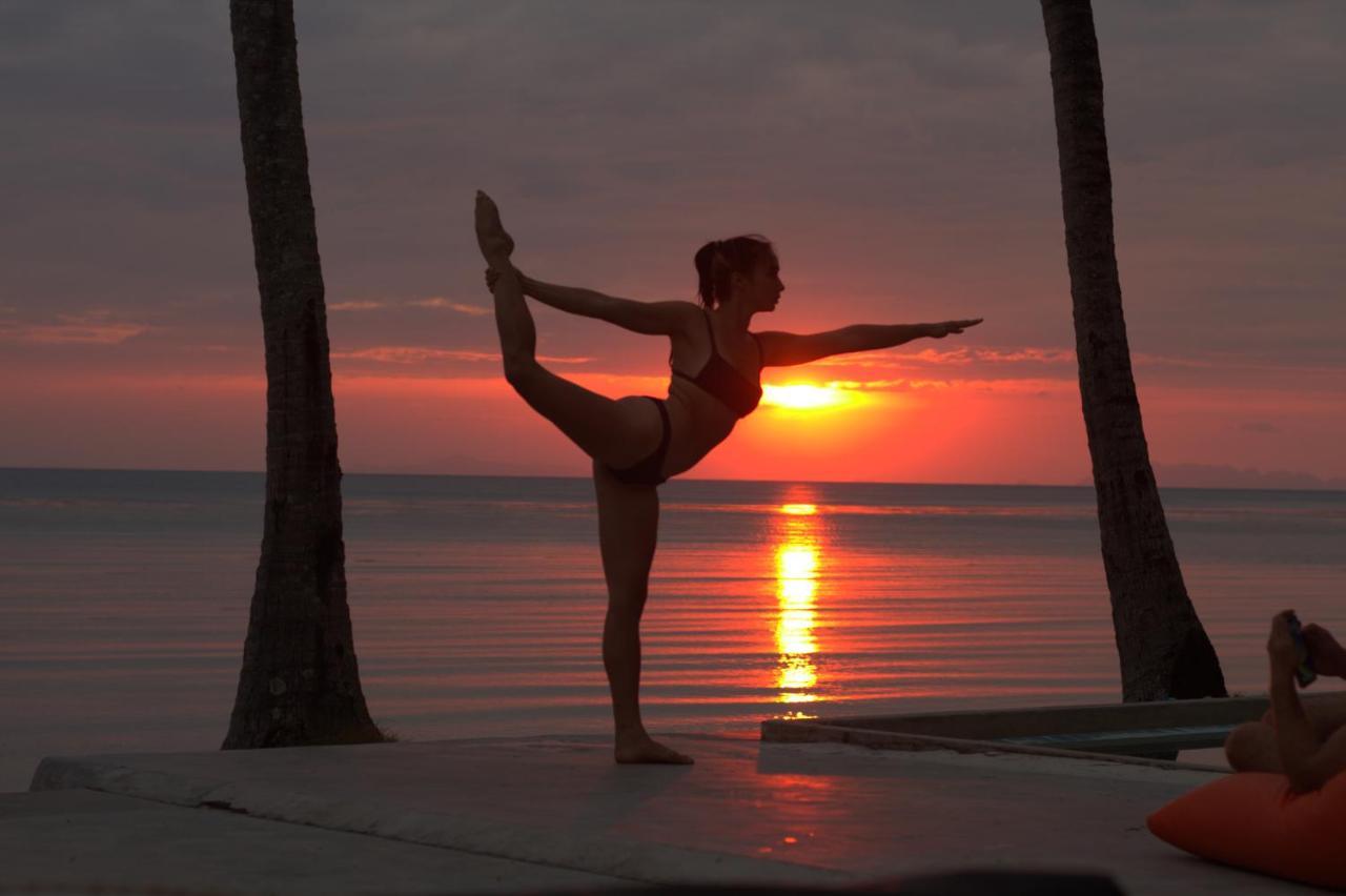 Wild Wood X Hansa Beach Fitness Resort Thong Sala Luaran gambar